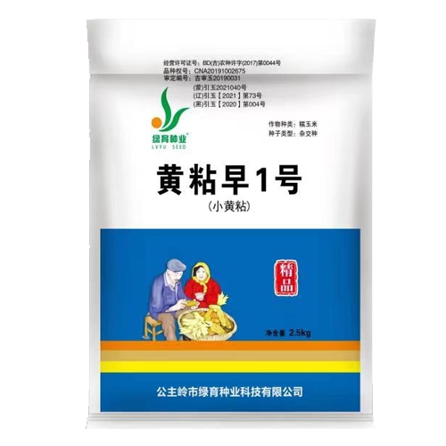 黃粘早1號