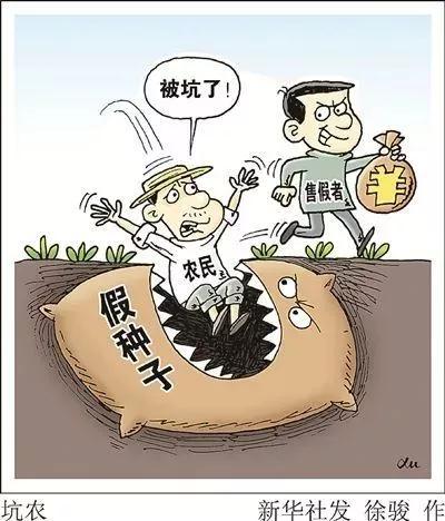 網(wǎng)上購買到假種子導(dǎo)致絕收，該怎么辦？購買多注意，維權(quán)有方法??？